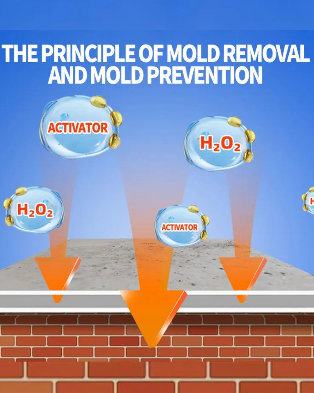 Ovola Highly Effective Mould Removal Spray - Prevents Mould Regrowth